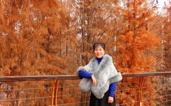 巨大的奶头被老头玩弄